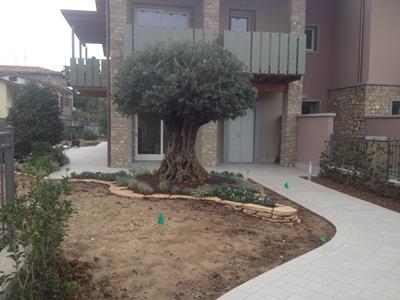 REALIZZAZIONE GIARDINO MEDITERRANEO